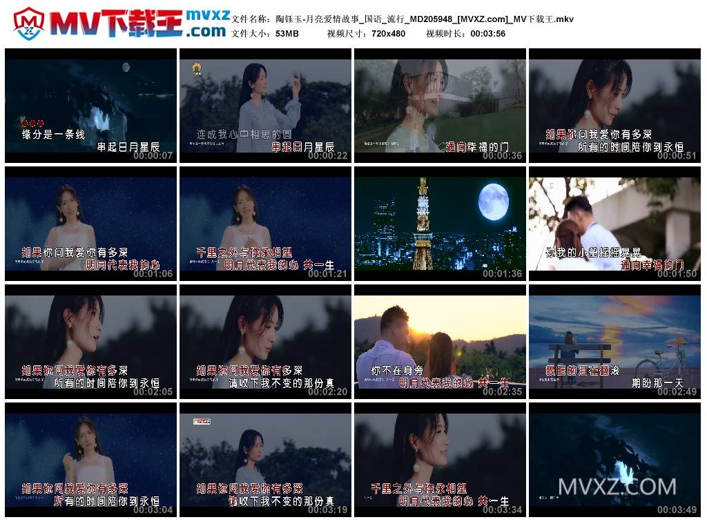 陶钰玉-月亮爱情故事_国语_流行_MD205948